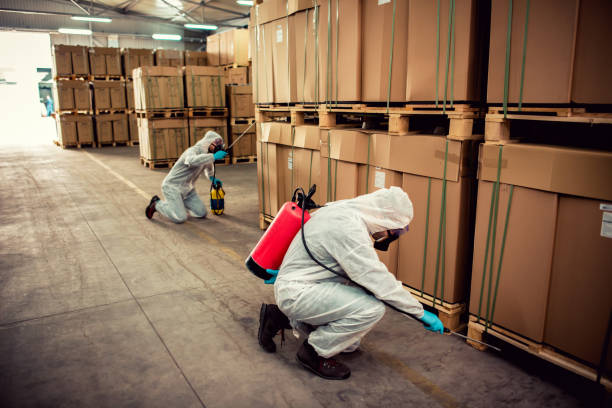 Best Pest Control Near Me in Ash Flat, AR