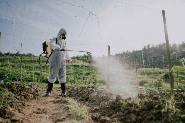 Best Local Pest Control Services  in Ash Flat, AR