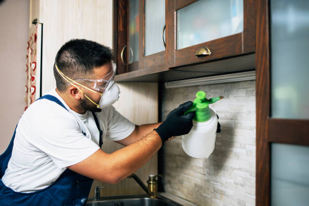 Best Pest Inspection Near Me  in Ash Flat, AR