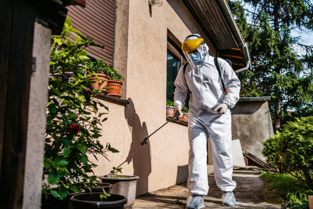 Best Pest Removal Services  in Ash Flat, AR