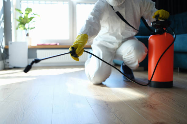 Pest Control Cost in Ash Flat, AR