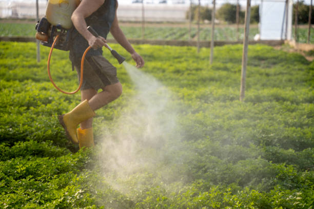 Best Pest Removal Services  in Ash Flat, AR