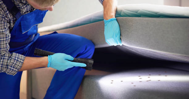 Best Cockroach Control Services  in Ash Flat, AR
