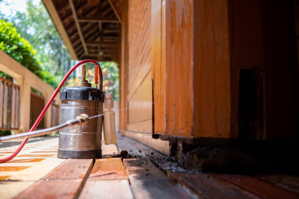 Best Ant Control Services  in Ash Flat, AR