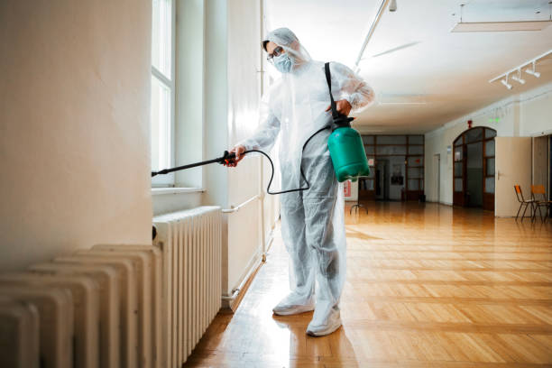 Trusted Ash Flat, AR Pest Control Experts