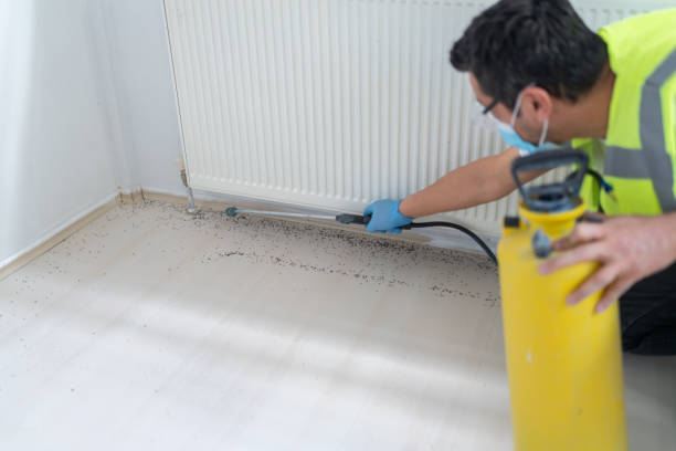 Best Best Pest Control Companies  in Ash Flat, AR