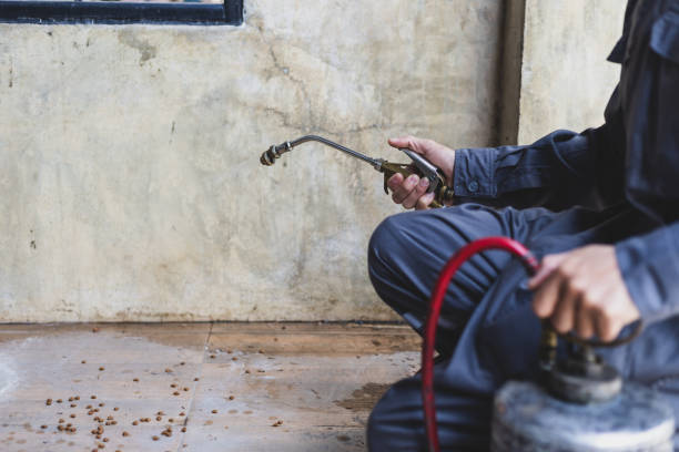 Best Affordable Pest Control Services  in Ash Flat, AR