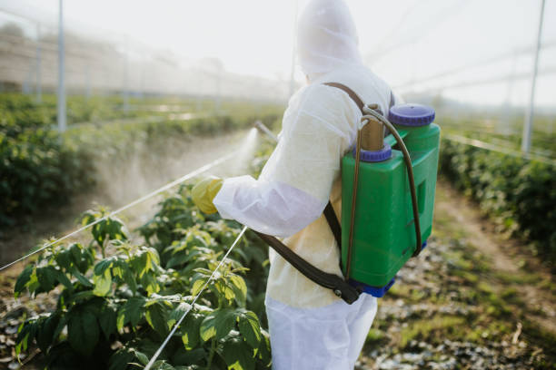  Ash Flat, AR Pest Control Pros